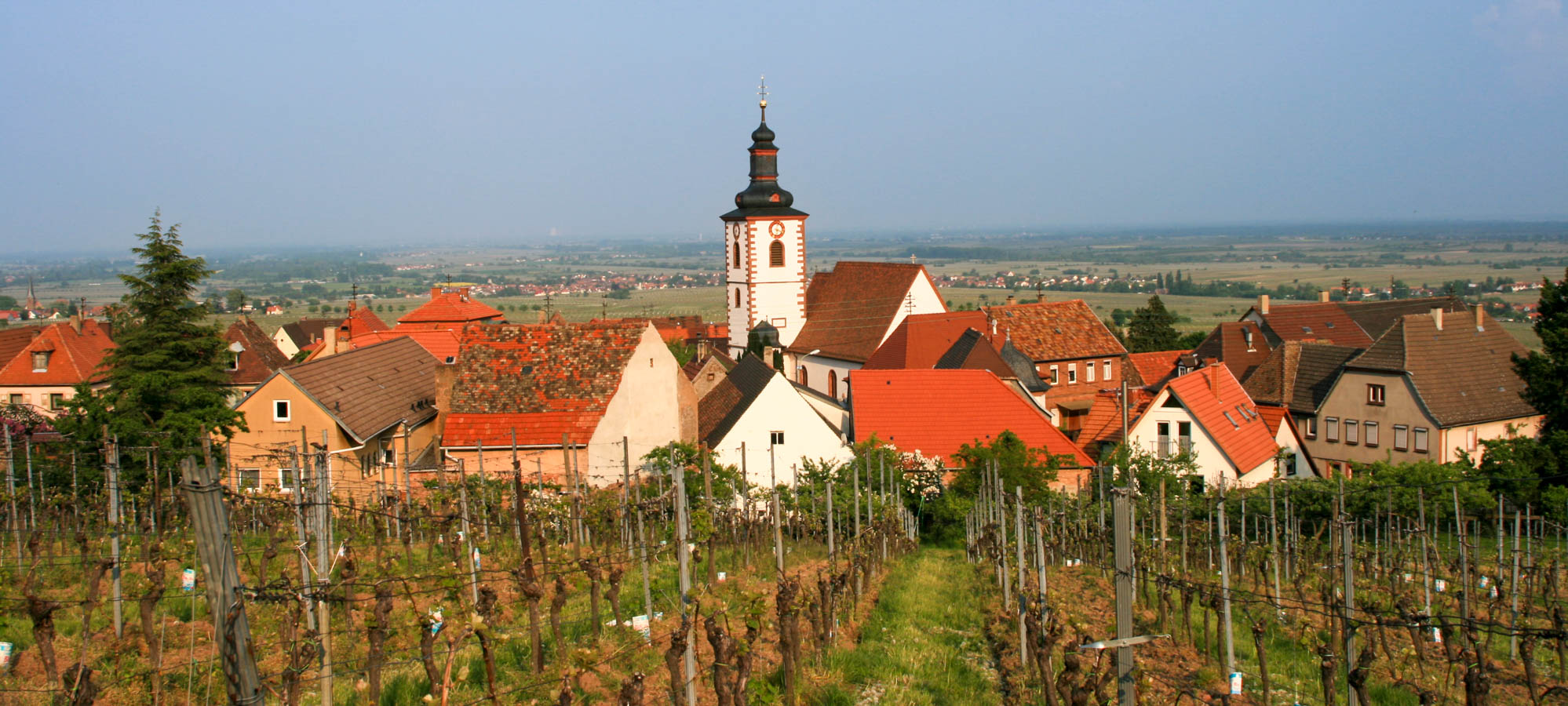 weingut-brecht-20090502-001-1998.jpg